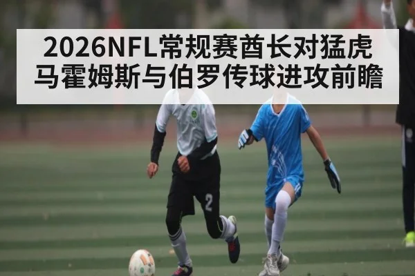 2026NFL常规赛酋长对猛虎马霍姆斯与伯罗传球进攻前瞻